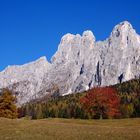 Pale di San Martino : autunno