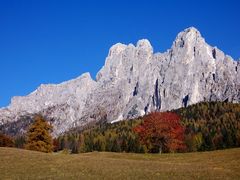 Pale di San Martino : autunno