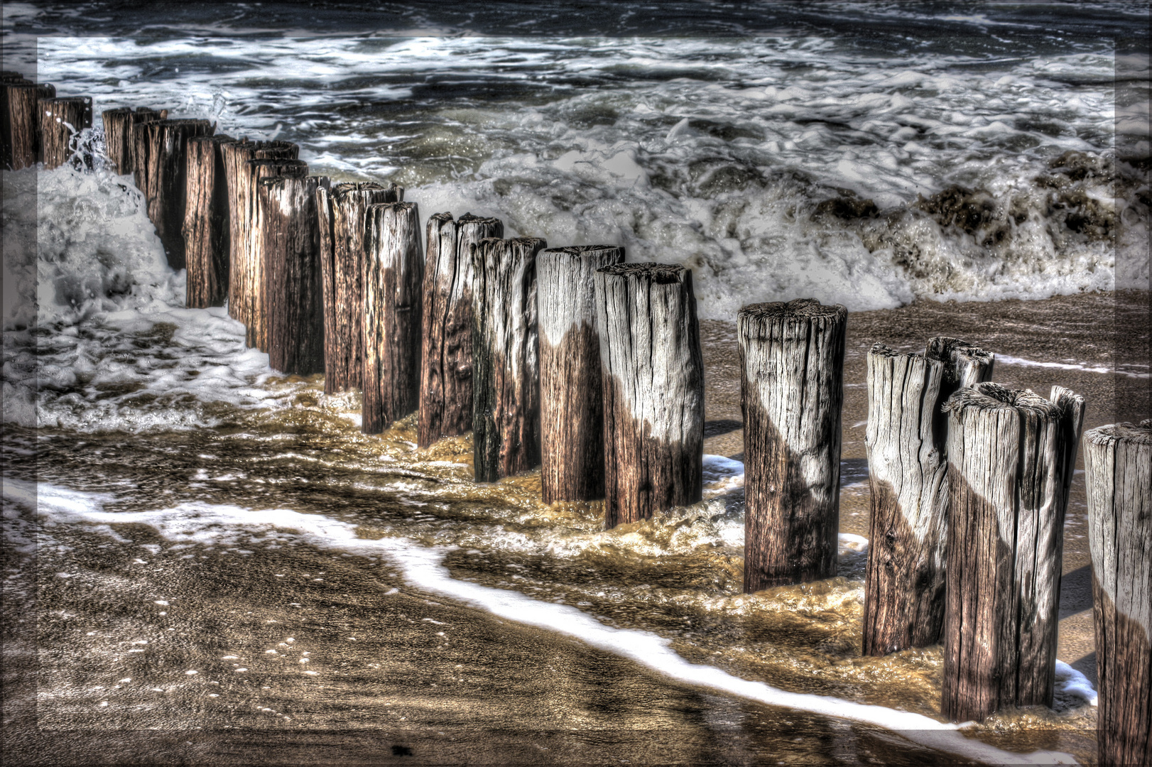 Palen am Meer