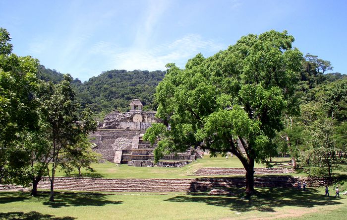 Palenque 3