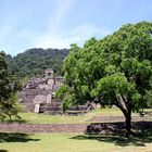 Palenque 3