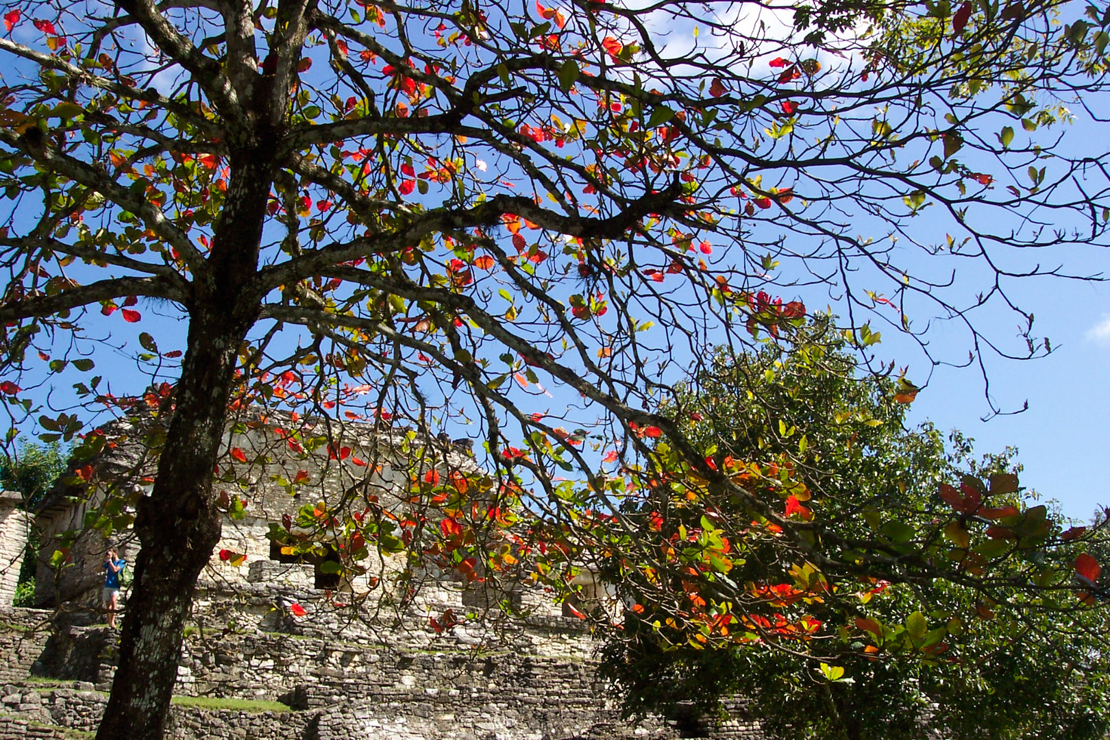 Palenque