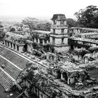 Palenque ... a long time ago