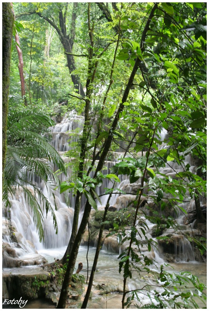 Palenque-Chiapas-Mexico