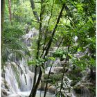 Palenque-Chiapas-Mexico