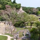 Palenque