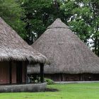 ...Palenque in der Sarapiqui Rainforest Lodge...