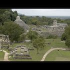 Palenque Panorama