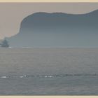 Palermo seafront early morning 1