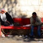 Palestinenserin am Sabbatmorgen in Jerusalem auf einer Parkbank relaxend