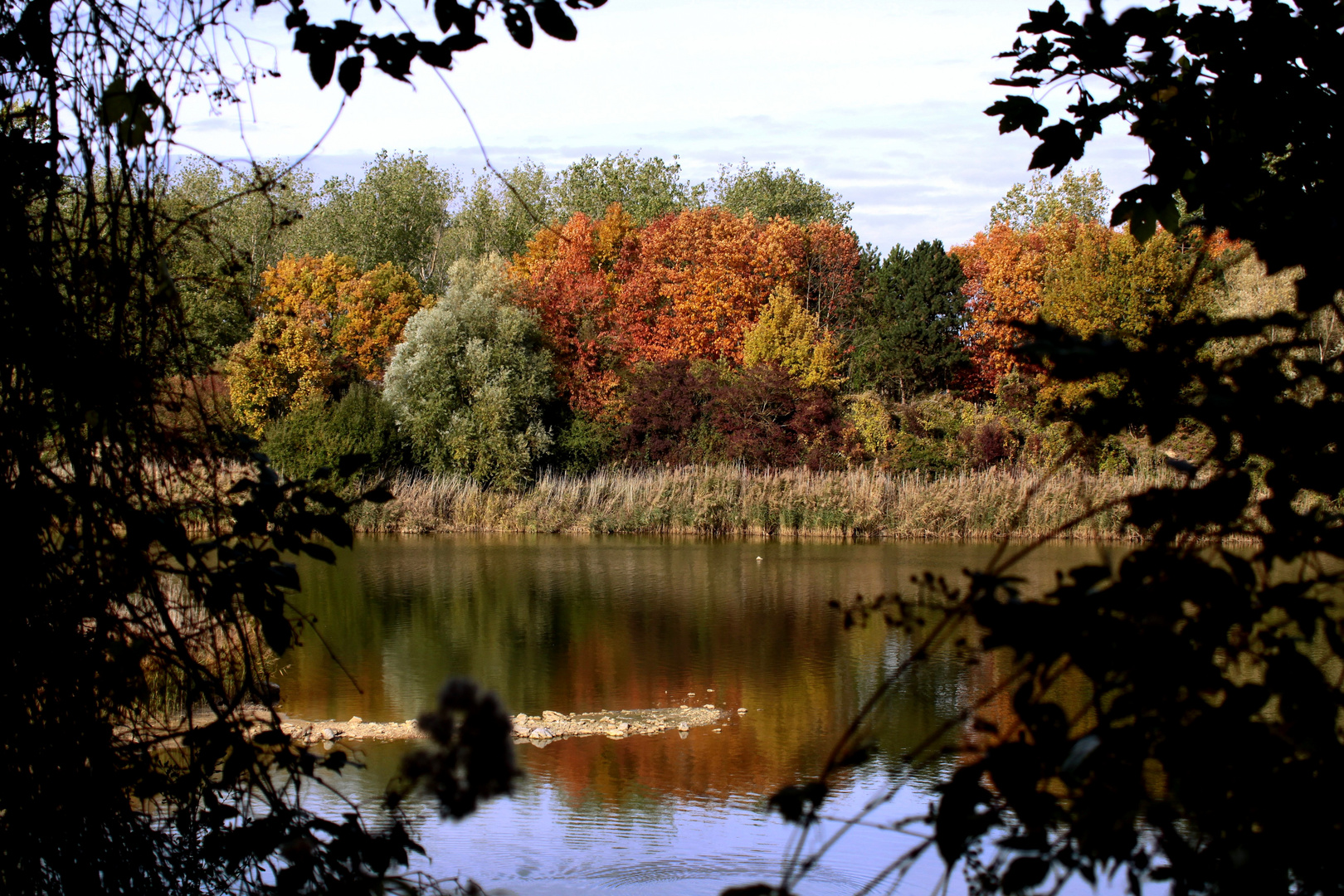 Palette d'Automne