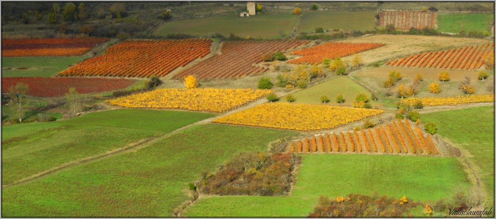 Palette d'automne