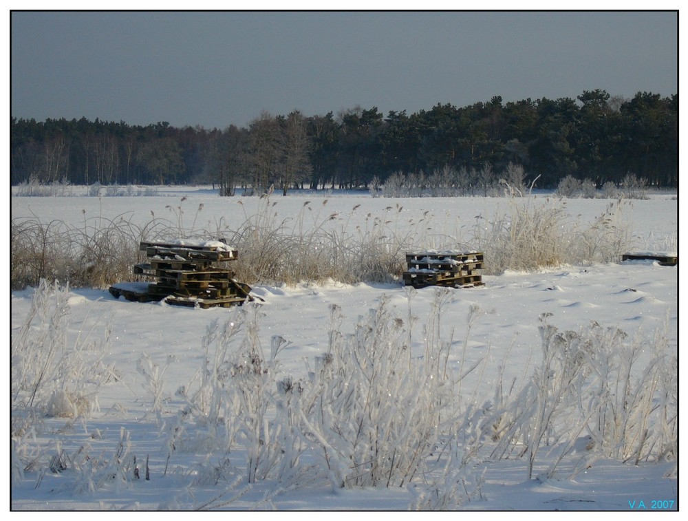 Paletten im Schnee