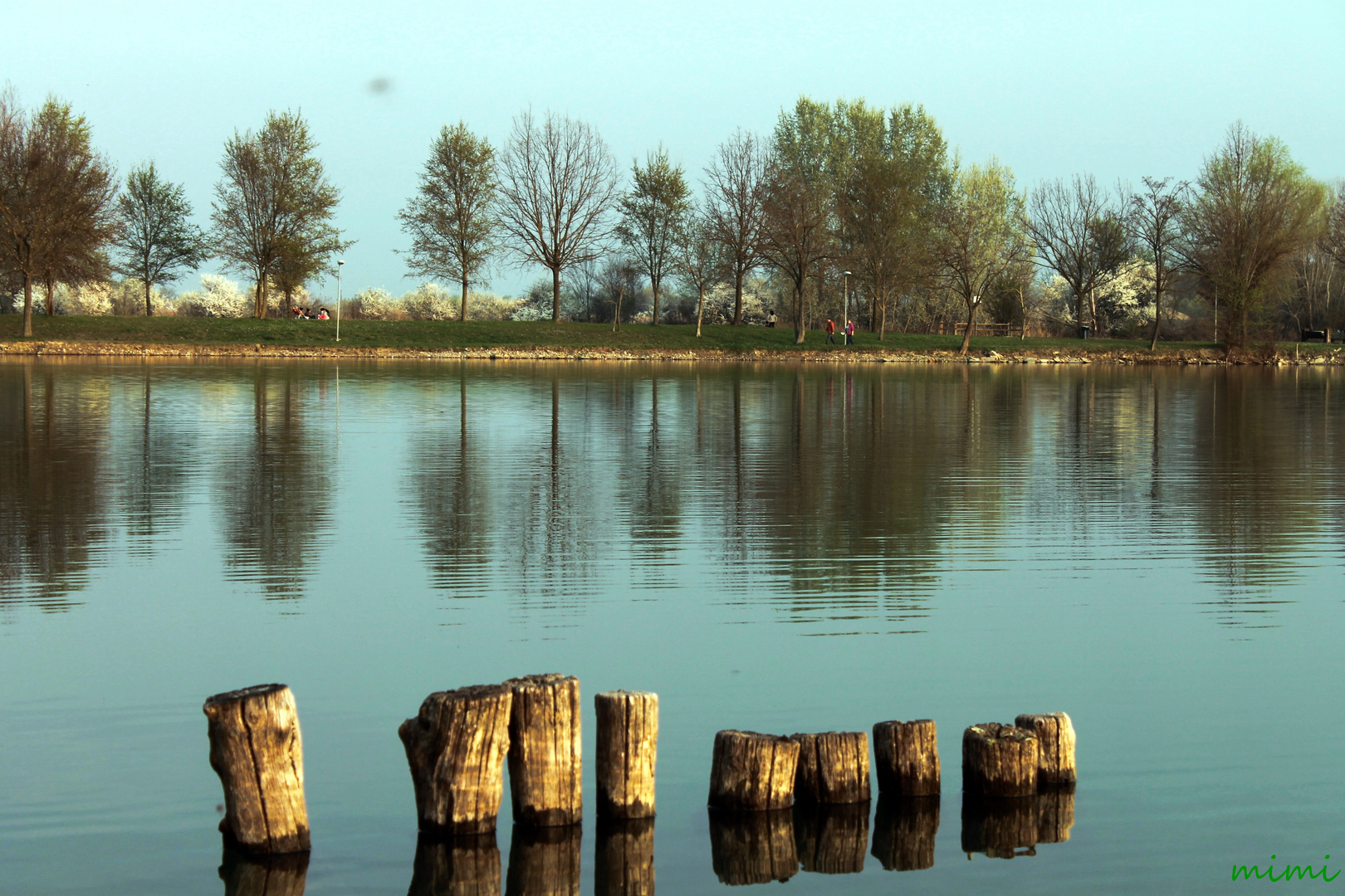 paletti nel lago