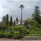 Palheiro Gardens...