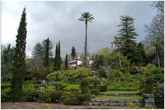 Palheiro Gardens...