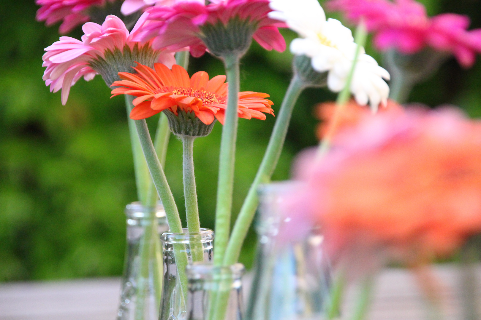 Palim Palim, eine Flasche Blumen bitte.