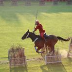 Palio del Niballo