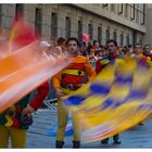 palio di Asti 2007