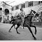 Palio Di Siena 2011