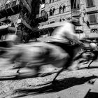 Palio di Siena