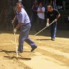 Palio di Siena