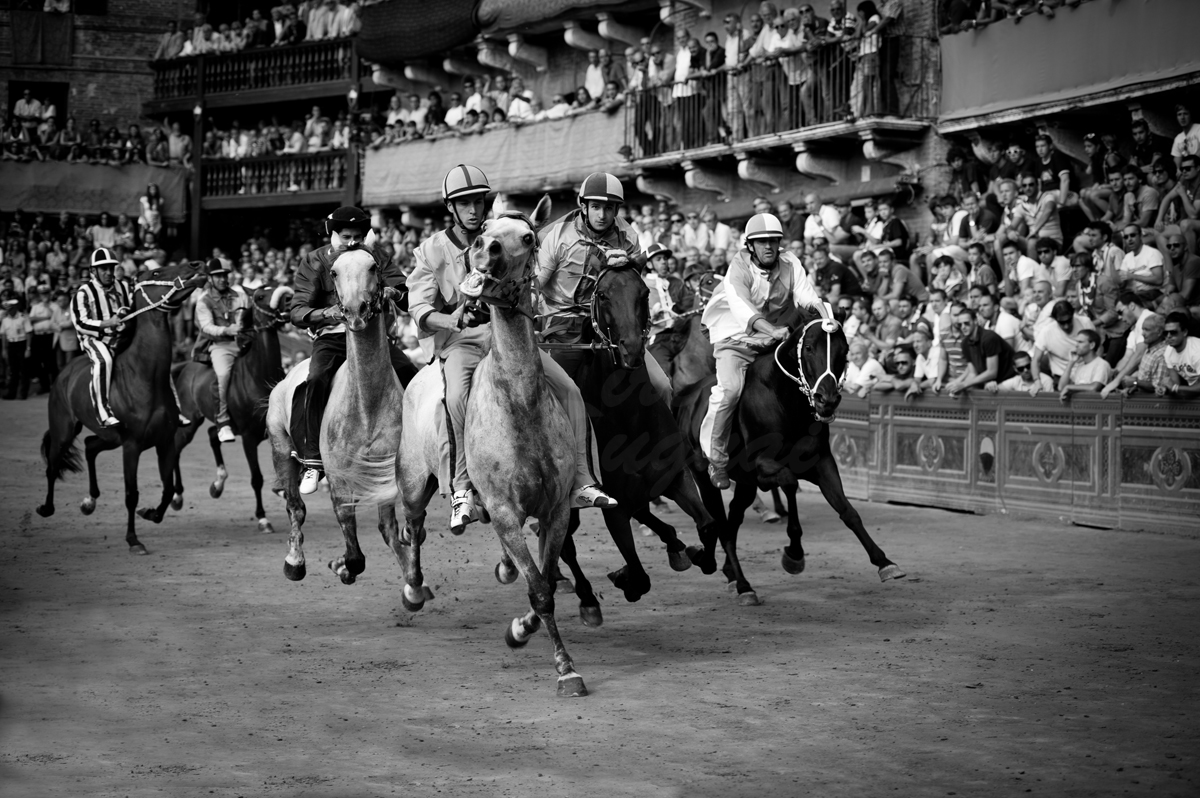 Palio di Siena