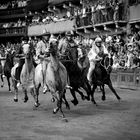 Palio di Siena