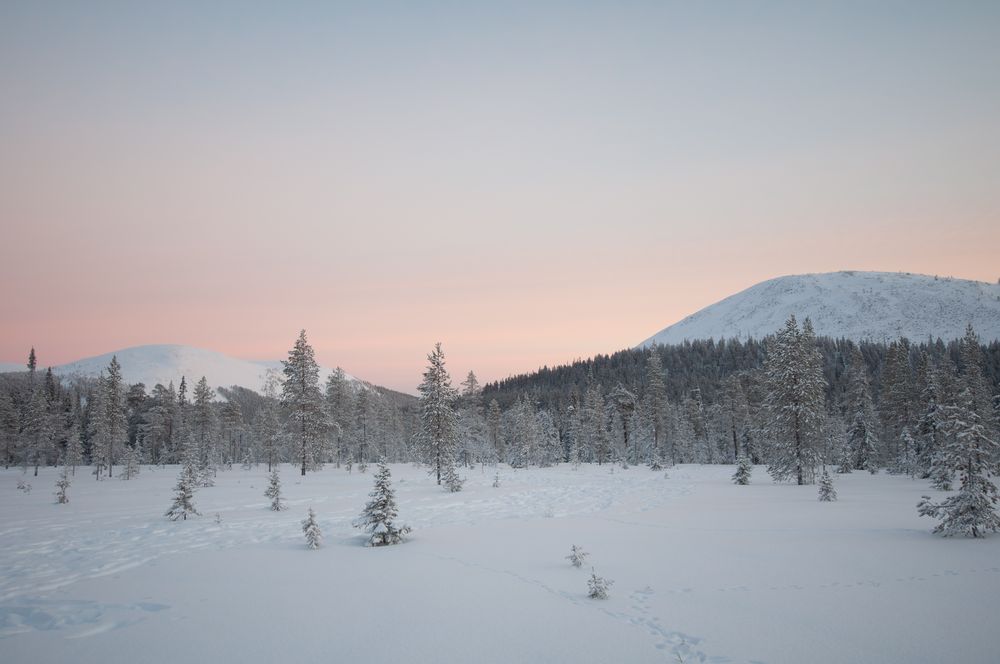 Pallas-Ylläs Nationalpark