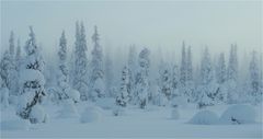 Lapland Jan 2018