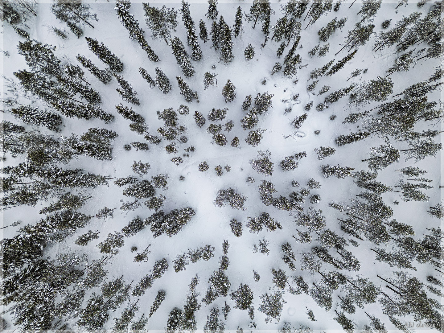 Pallastunturi Finnland im Winter