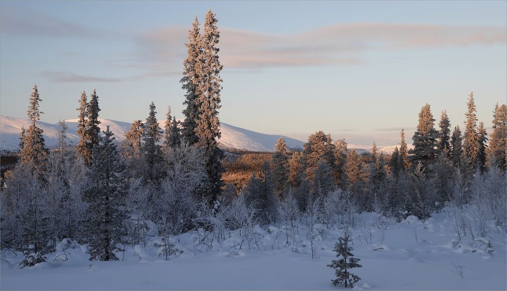 Pallastunturi NP