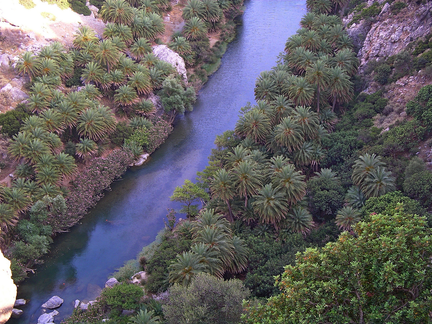 Palm Beach of Preveli