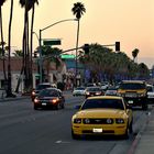 Palm Canyon Drive - Palm Springs - CA