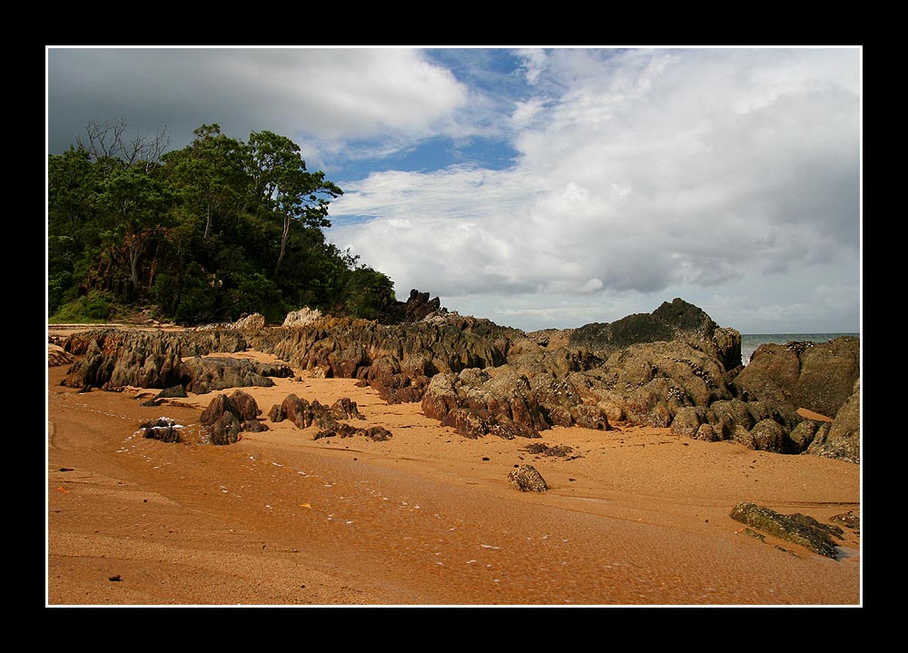 Palm Cove #2