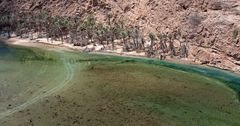 [ … palm fringed Wadi Shab ]