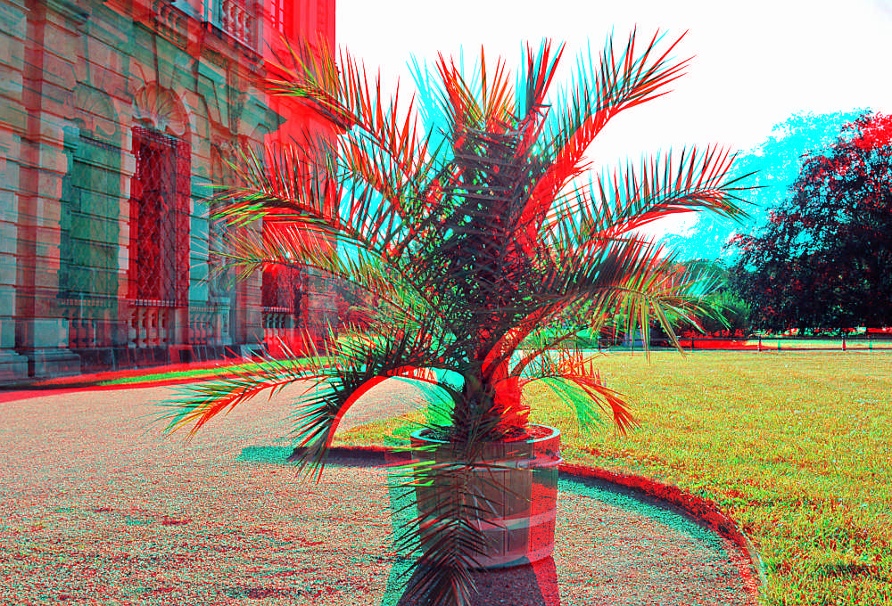 Palm pot [3D]