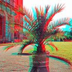 Palm pot [3D]
