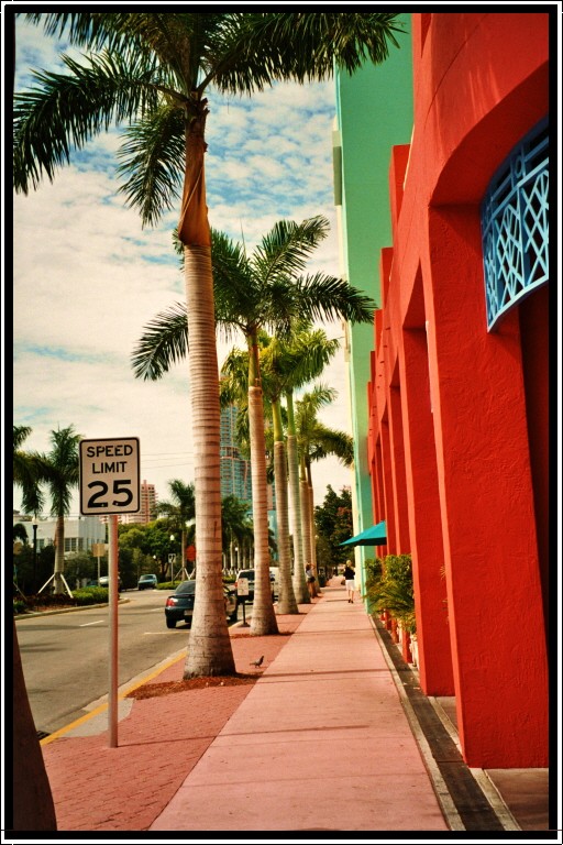 Palm Street 2