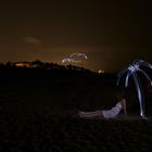 Palm tree on the beach