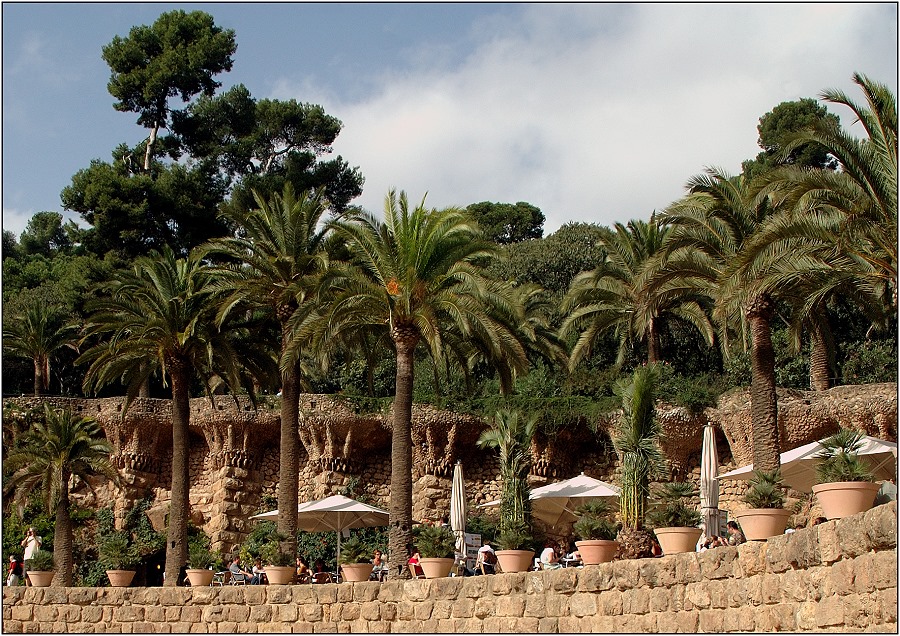 ... Palm trees at Park Güell, Barcelona ...