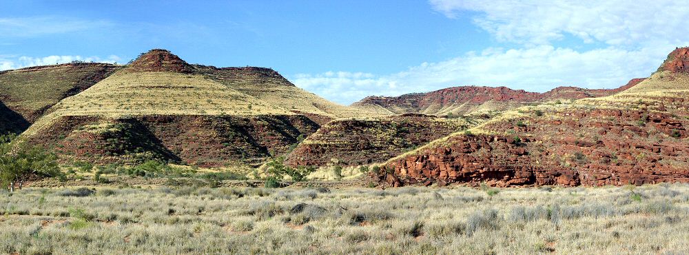 Palm Valley Panorama