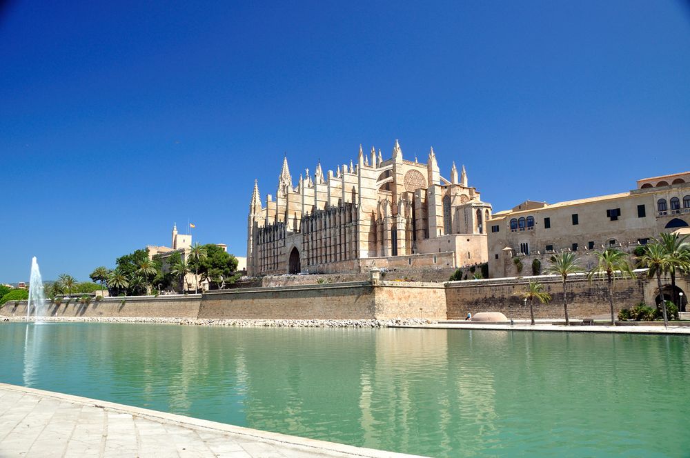 Palma 1