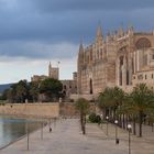 Palma