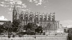 Palma #4