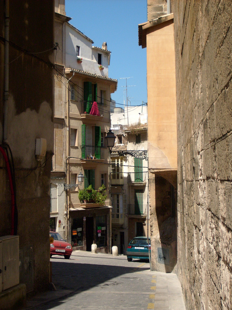 Palma