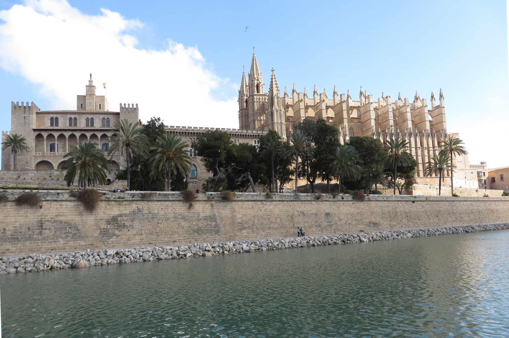 palma-