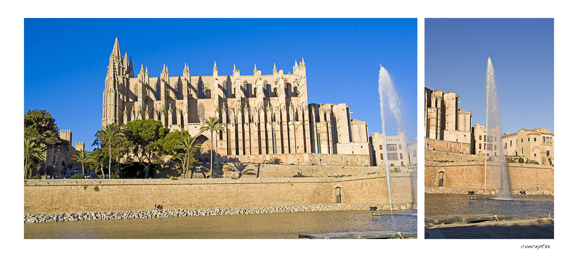 Palma