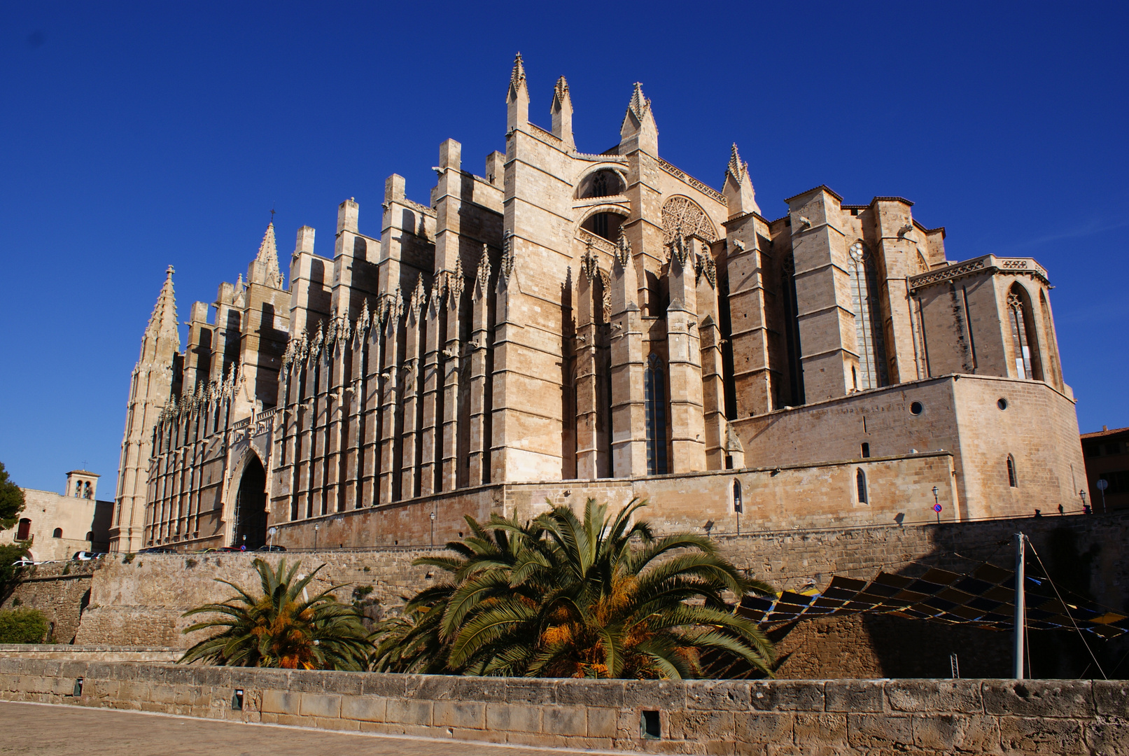 Palma....