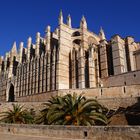 Palma....